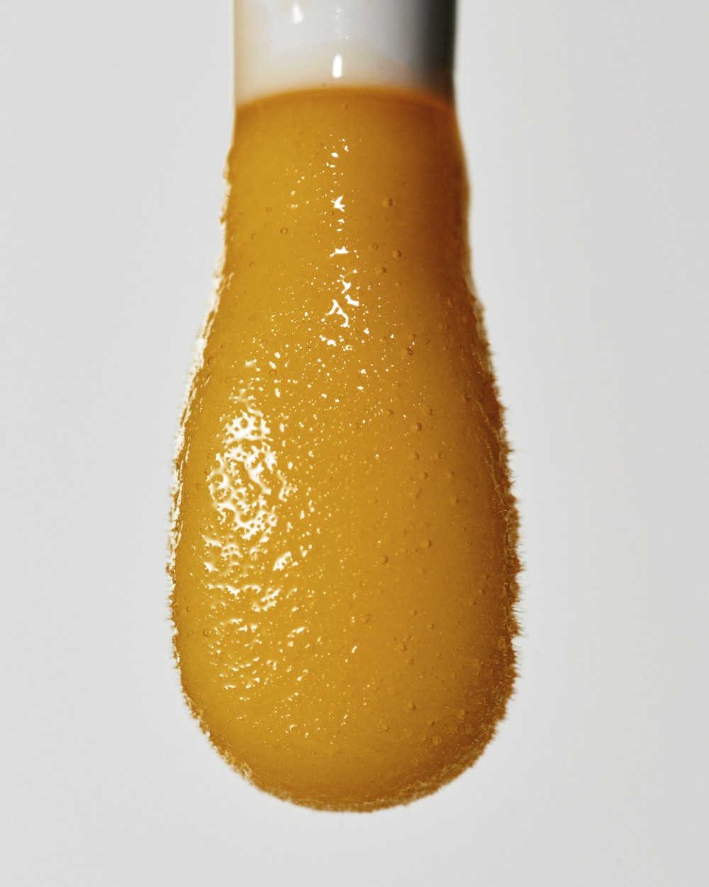 tulip